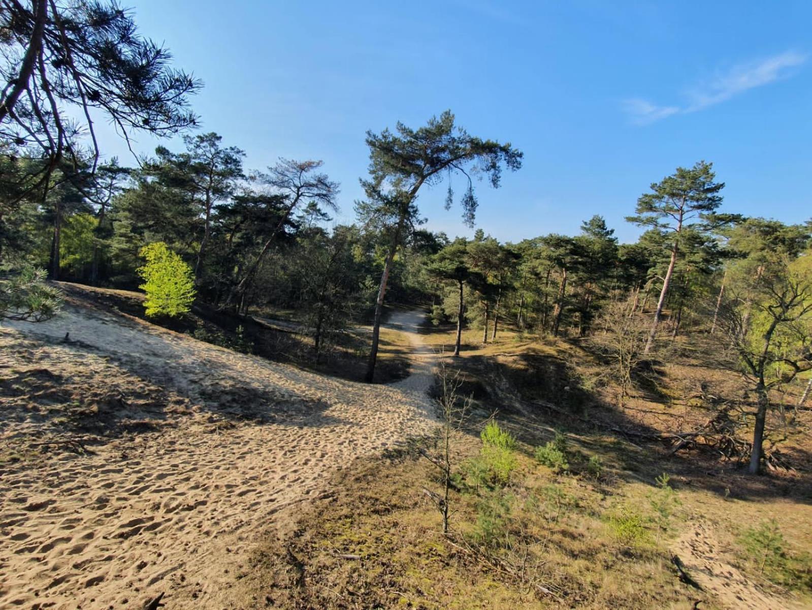Marduijn Villa Lomm Екстериор снимка
